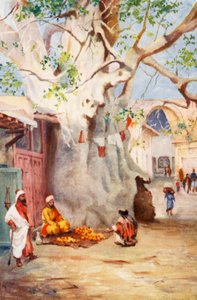 Grand plantain dans le bazar, Damas