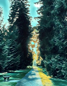 Symphonie de la nature