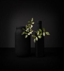 Objets noirs, branche verte - Margareth Perfoncio