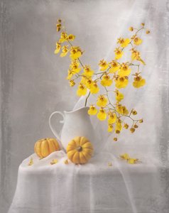 Une délicate nature morte d