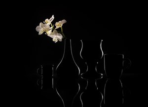  - Margareth Perfoncio