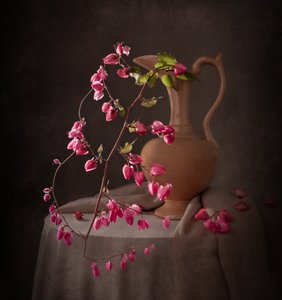 Nature morte rose élégante - Margareth Perfoncio