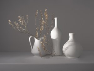 Nature morte botanique minimaliste - Margareth Perfoncio