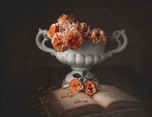 Roses mélancoliques et vieux livre