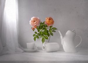 Thé Morning Rose - Margareth Perfoncio