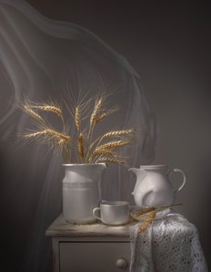 Nature morte sereine au blé - Margareth Perfoncio