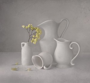 Pichets blancs sereins - Margareth Perfoncio