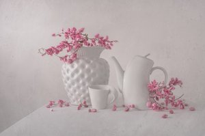 Nature morte rose pâle - Margareth Perfoncio