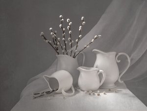 Pichets « Spring Willow »