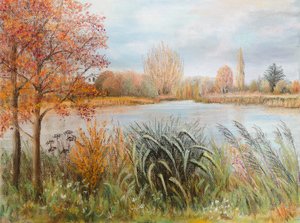 Rivière Thames près de Windsor - Margo Starkey