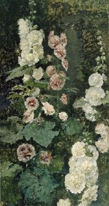 Rose trémières