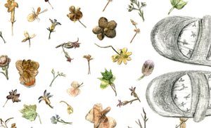 Fleurs pressées, 2020