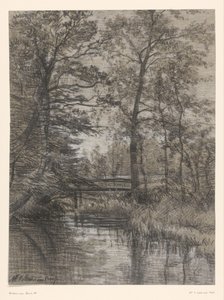 Étang dans la forêt