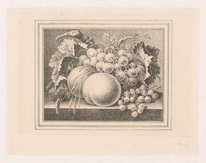 Composition avec des fruits dans un cadre - Maria Geertruida de Goeje Barbiers (attributed to)