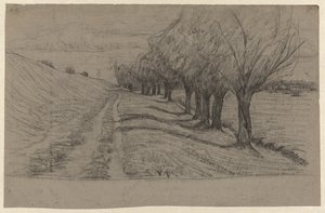 Digue avec une rangée de saules