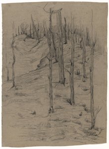 Troncs de pins nus sur un terrain en pente - Maria Johanna Goemans
