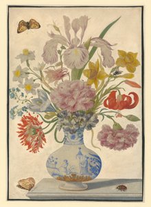  - Maria Sibylla Merian
