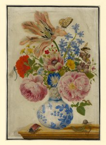  - Maria Sibylla Merian