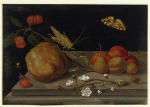  - Maria Sibylla Merian