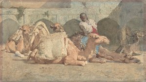 Chameaux reposant, Tanger