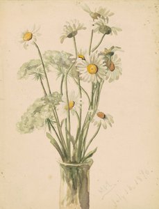 Marguerites et Reine-des-prés dans un vase, 1890 - Marietta Minnegerode Andrews