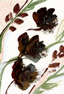 Fleurs séchées