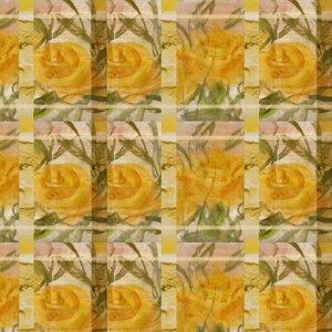 Fantaisie avec des roses - Marina Falco