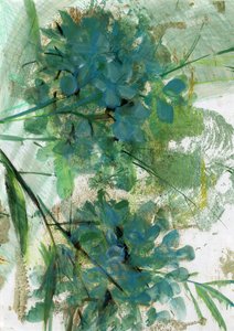 Hortensias, 2022