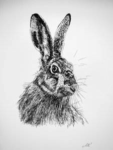 Dessin d