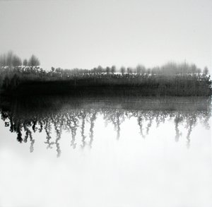 Reflet dans la forêt monochrome - Marina Nelson