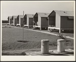Logements pour les cueilleurs de légumes migrateurs, camps de travail Osceola, construits par la FSA, Belle Glade, Floride - Marion Post Wolcott