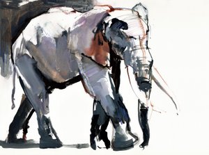 Éléphant africain, 2012