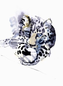 Léopard arabe, 2008 - Mark Adlington