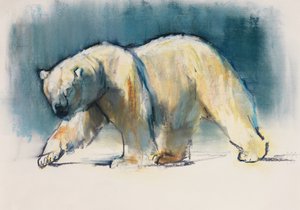 Lumière arctique, 2017