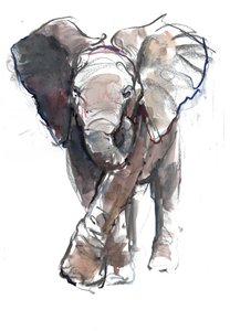 Charge de bébé, 2018