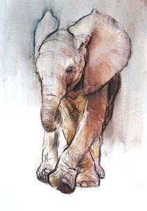 Bébé éléphant 2, Loisaba, 2018