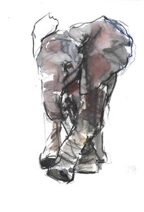 Étude de bébé éléphant, 2018
