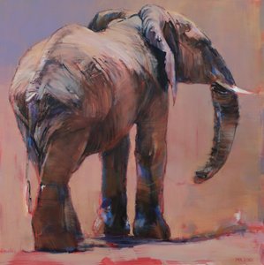 Derrière, Loisaba