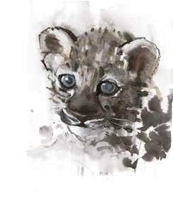 Yeux bleus (bébé léopard arabe), 2008