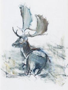 Cerf dans l
