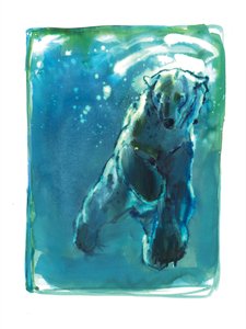 Constellation, 2015