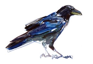 Corbeau, 2022
