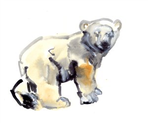 Lionceau, 2015