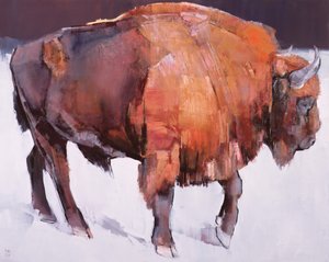 Bison Européen