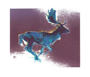 Daim (ombre bleue et jaune), 2015 - Mark Adlington