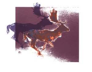 Cerfs Dama (orangelilac), 2015, (sérigraphie)