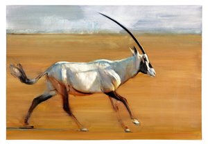 Oryx galopant, 2010