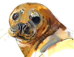 Chiot Gingembre, Westcove