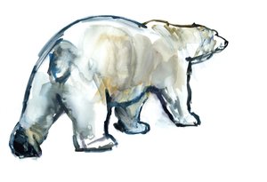 Glacier Mint (ours polaire), 2013