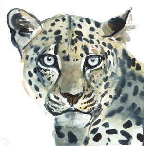 Léopard, 2015 - Mark Adlington